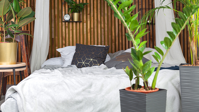Choosing Eco-Friendly Materials for Hospitality and Accommodation Projects