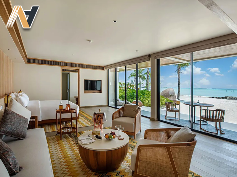 Material Innovation and Sustainable Choices